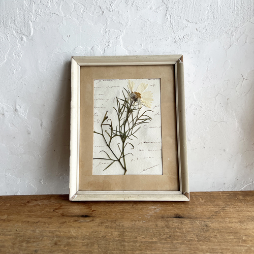 errer Ǌ|@antique frame cosmos