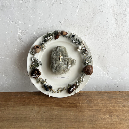 errer �Ǌ|���@dish Christmas