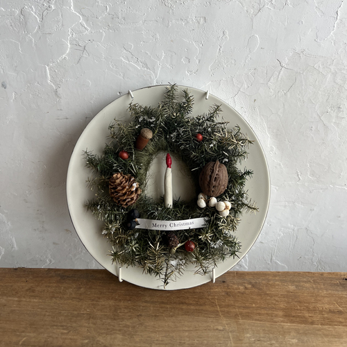 errer �Ǌ|���@dish Christmas