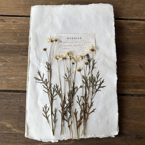 errer book