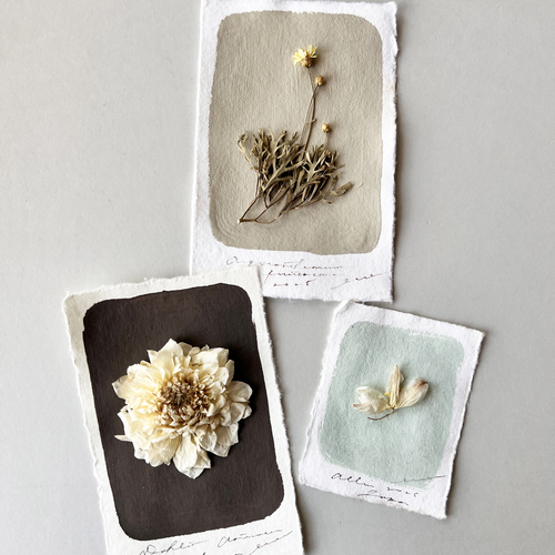 errer card set1