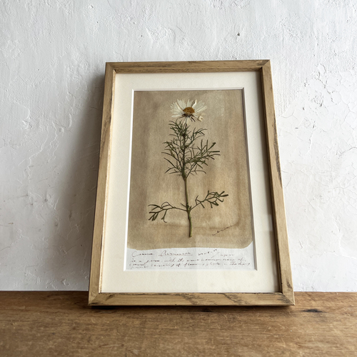 errer frame A4@cosmos