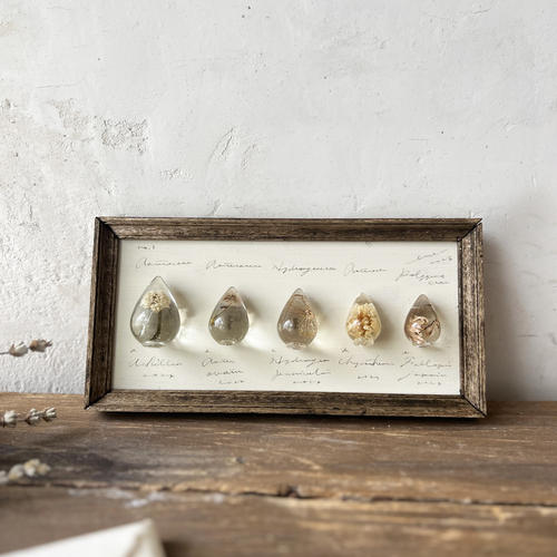 errer �Ǌ|���@type.a �����T�� ����