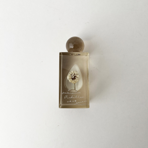 errer ����objet �����r underwater series