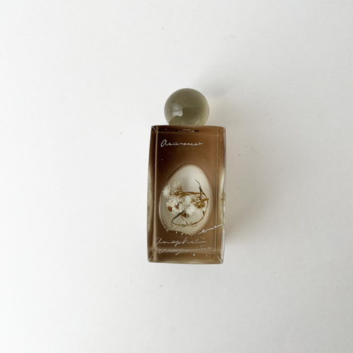 errer ����objet �����r underwater series