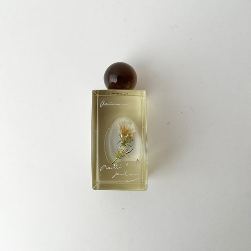 errer ����objet �����r underwater series