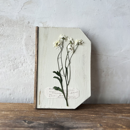 errer �Ǌ|���@book�^�@�i�c�V���M�N