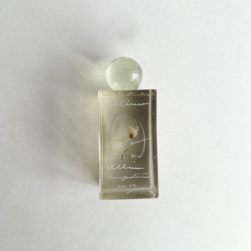 errer ����objet �����r underwater series