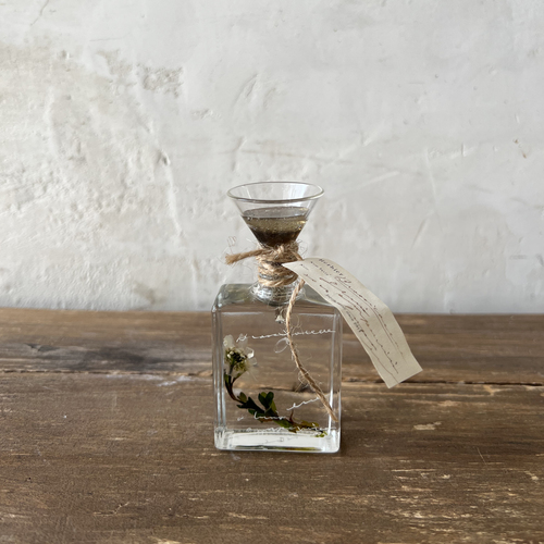 errer oil herbarium underwater series