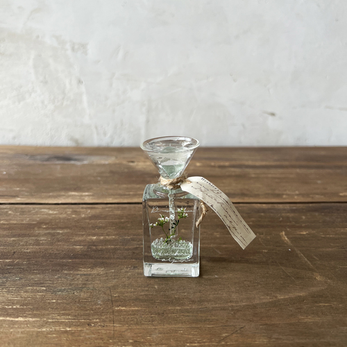 errer oil herbarium underwater series