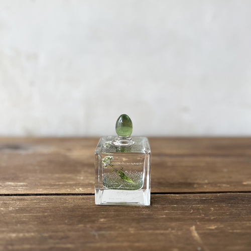 errer oil herbarium underwater series