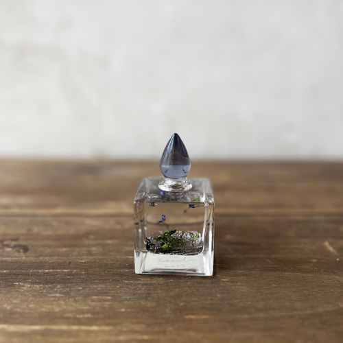 errer oil herbarium underwater series