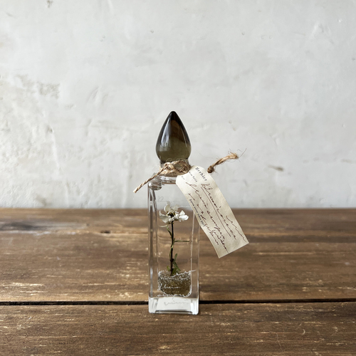 errer oil herbarium underwater series