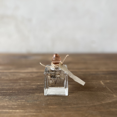 errer oil herbarium underwater series