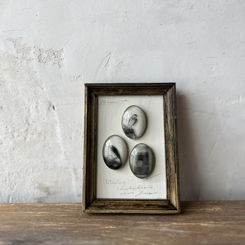 errer �Ǌ|���@�����R��ʐ^1