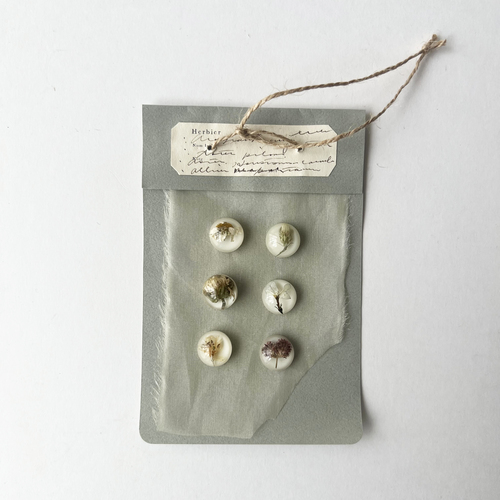 errer sample1 objet �݂艺��