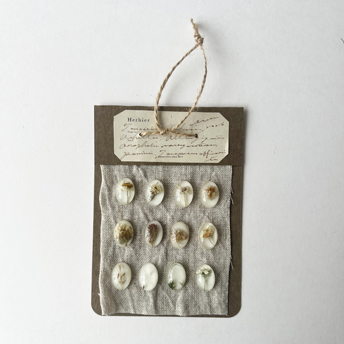 errer sample2 objet �݂艺��