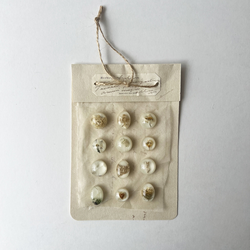 errer sample4 objet �݂艺��