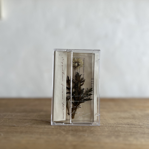 errer ����objet cassette tape�@�}�[�K���b�g