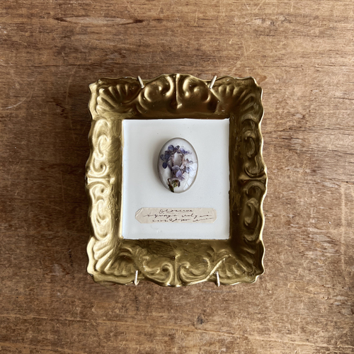 errer �Ǐ���@dish  ���C���b�N