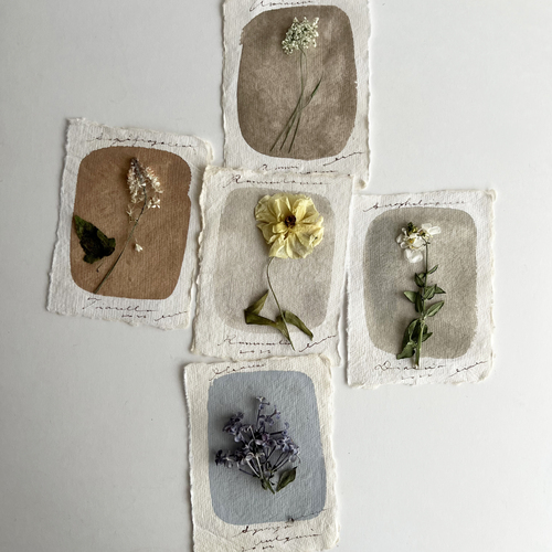 errer ���̕W�{t2 5��set