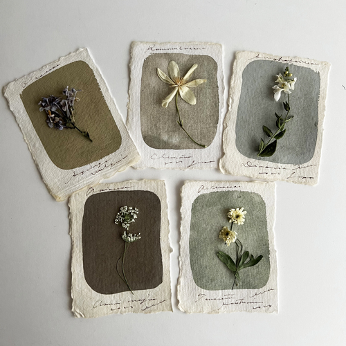 errer ���̕W�{t2 5��set