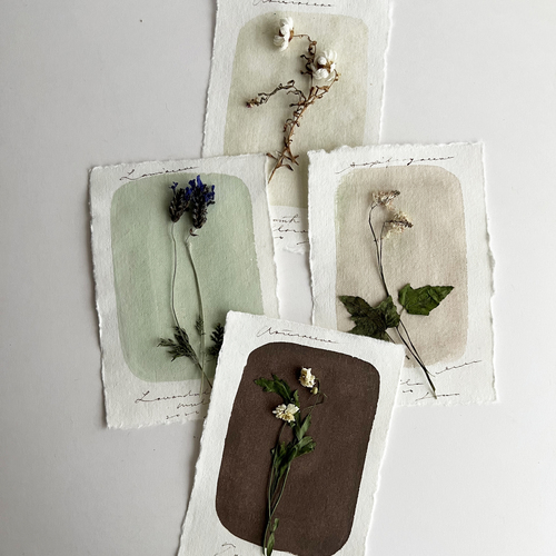 errer ���̕W�{t2 4��set