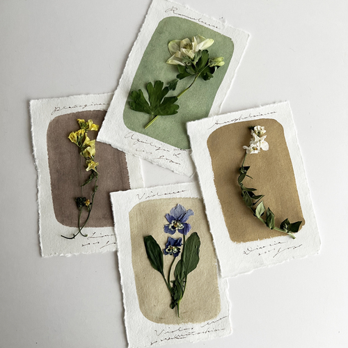 errer ���̕W�{t2 4��set