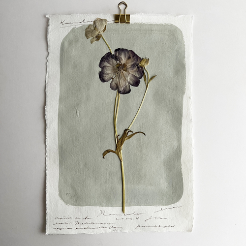 errer �Ǌ|���@�����ԁ@���i���L�����X