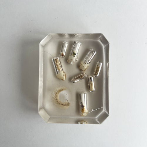 errer ����objet �A���v��