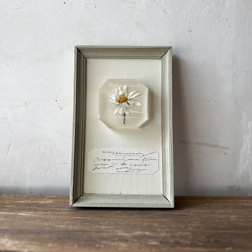 errer �Ǌ|��typea. �}�[�K���b�g