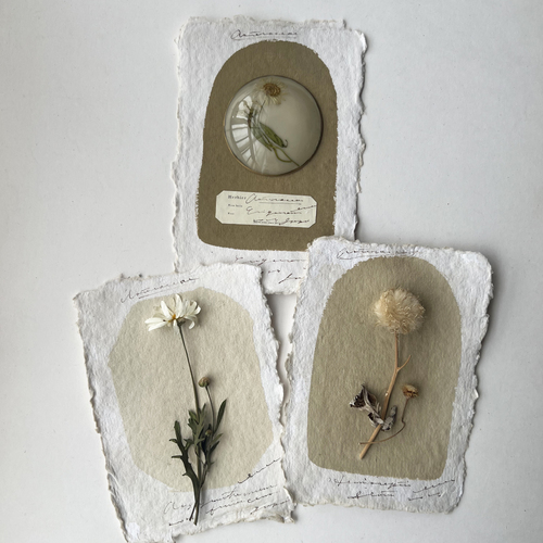 errer card set2