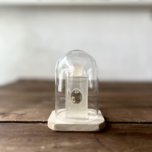 errer ����objet glass dome �@under water series 1