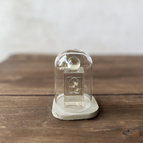 errer ����objet glass dome �@under water series 2