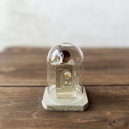 errer ����objet glass dome �@under water series 3