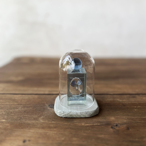 errer ����objet glass dome �@under water series 5