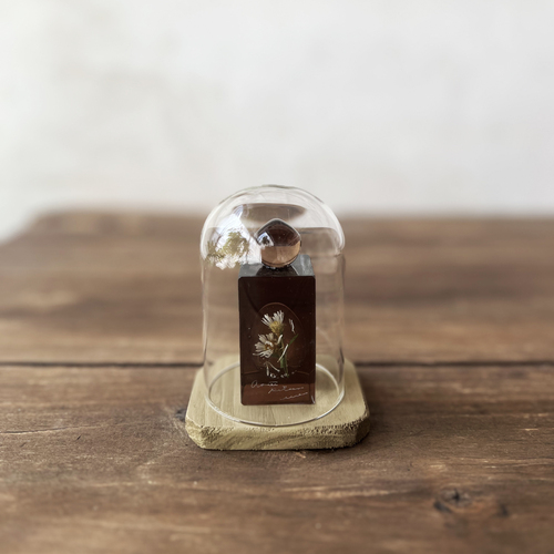 errer ����objet glass dome �@under water series 6