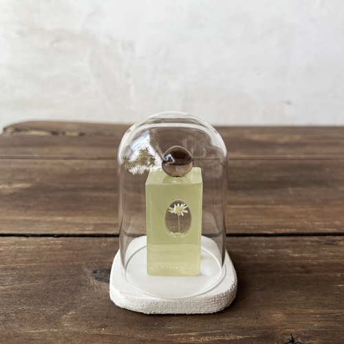 errer ����objet glass dome �@under water series 7