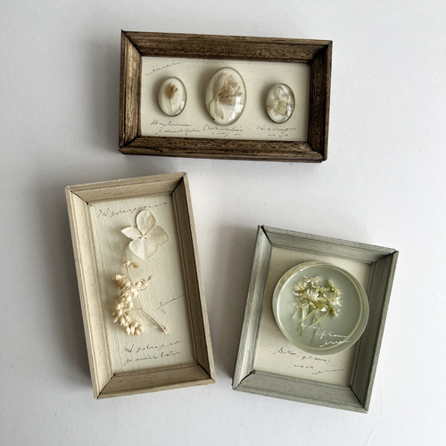 errer �����ȕǊ|��set *sale*