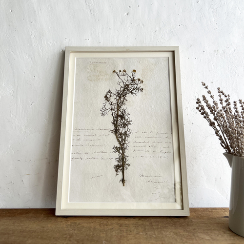 errer frame ������ �J���~�[��