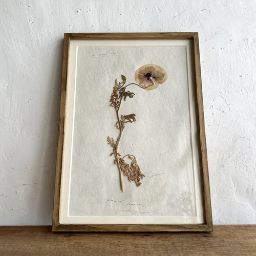 errer frame ������ �ЂȂ���