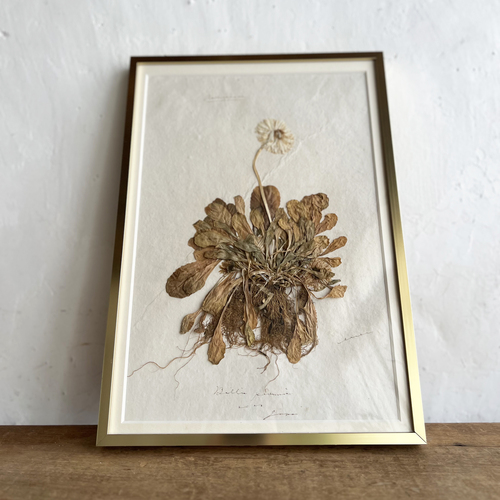 errer frame ������ �f�[�W�[
