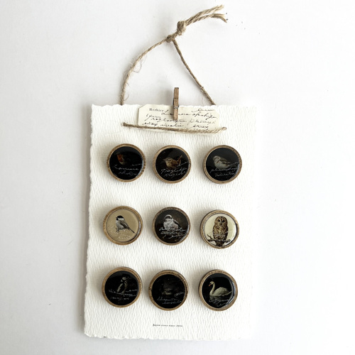 errer  lapel pins �ؘg �쒹�X��