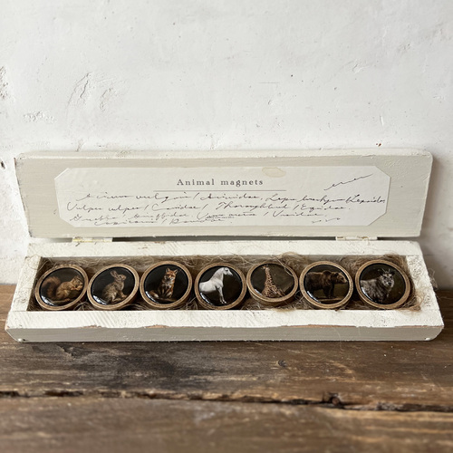 errer animal magnets  wood box
